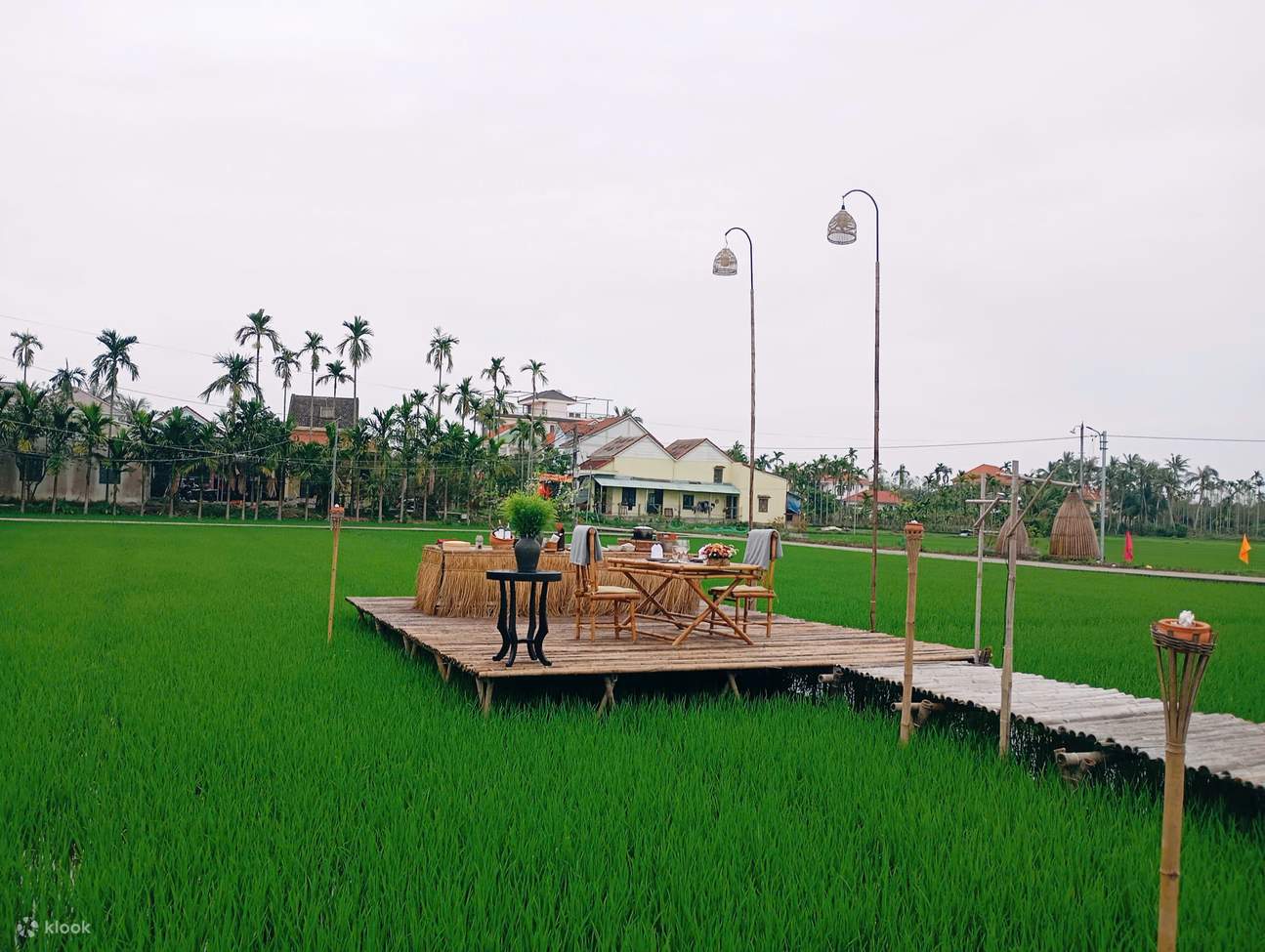 会安夕阳稻田晚餐 & 竹篮船体验