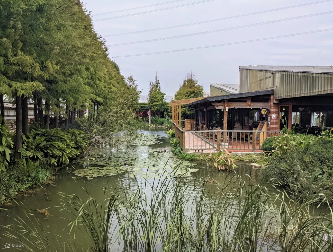 Yunlin Chaoyang Green Energy Leisure Farm