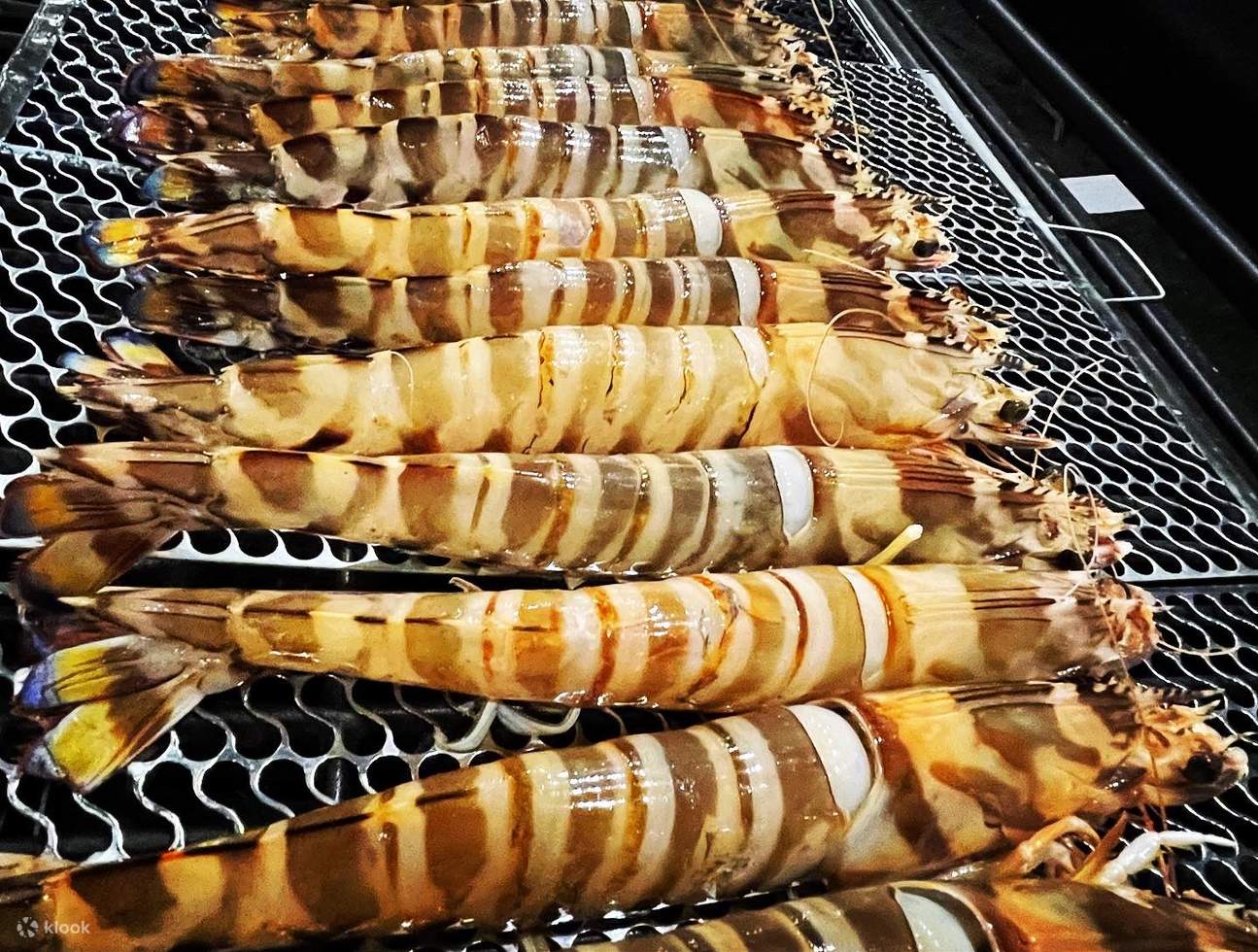 釣りに時間を費やす