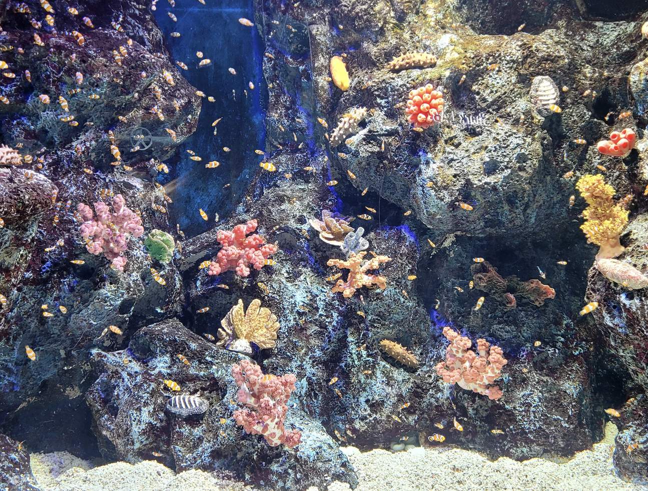 樂天世界水族館