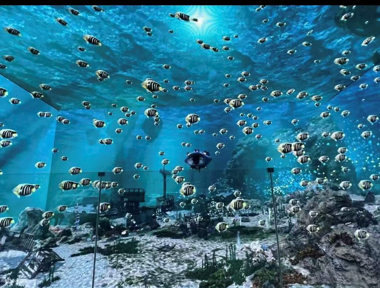 ここの芸術展示品は、ガラスを「材料」の定義を超え、思想と美感を伝える媒体にしました。