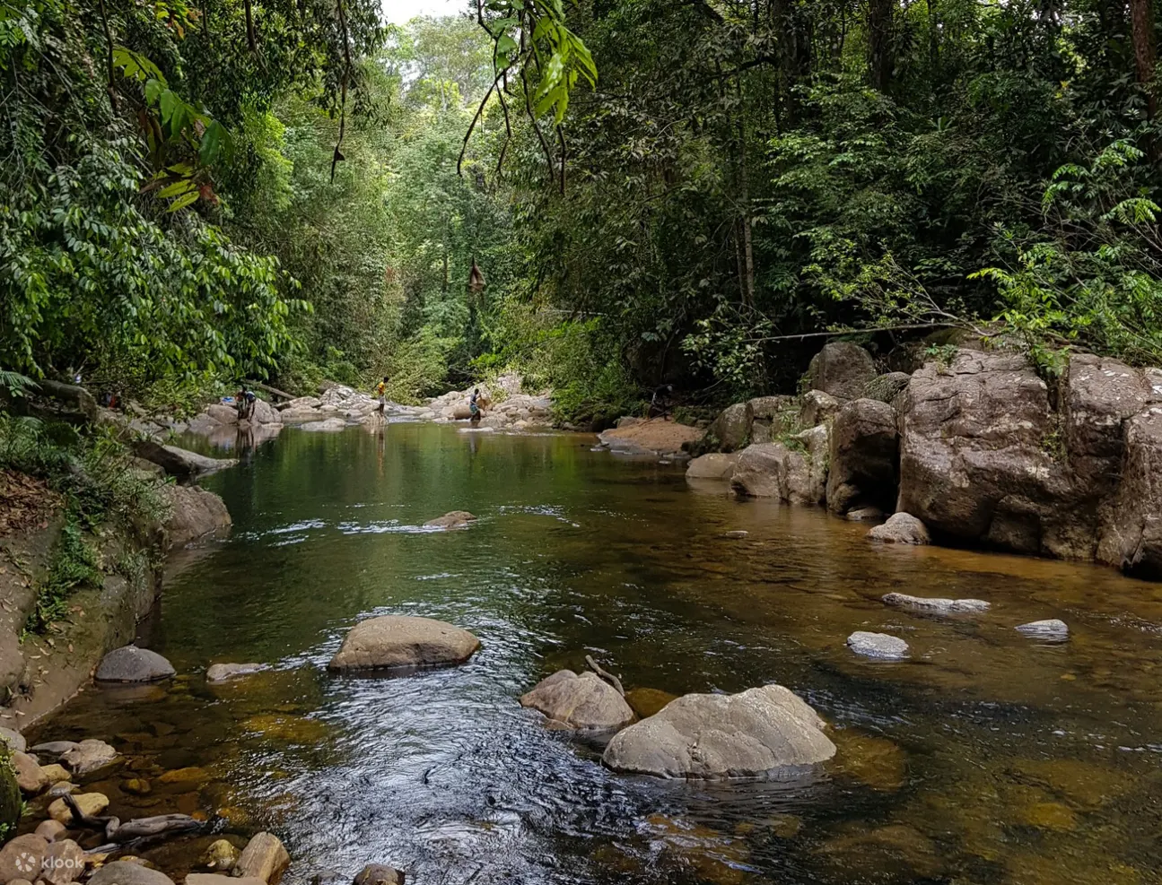 sinharaja forest reserve hike