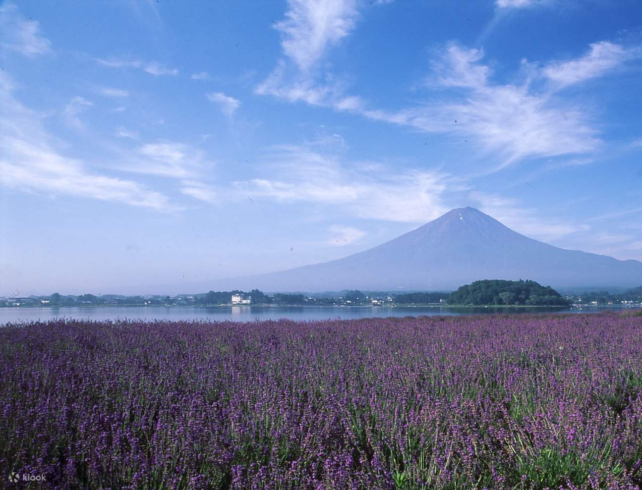 大石公园（富士河口湖町）