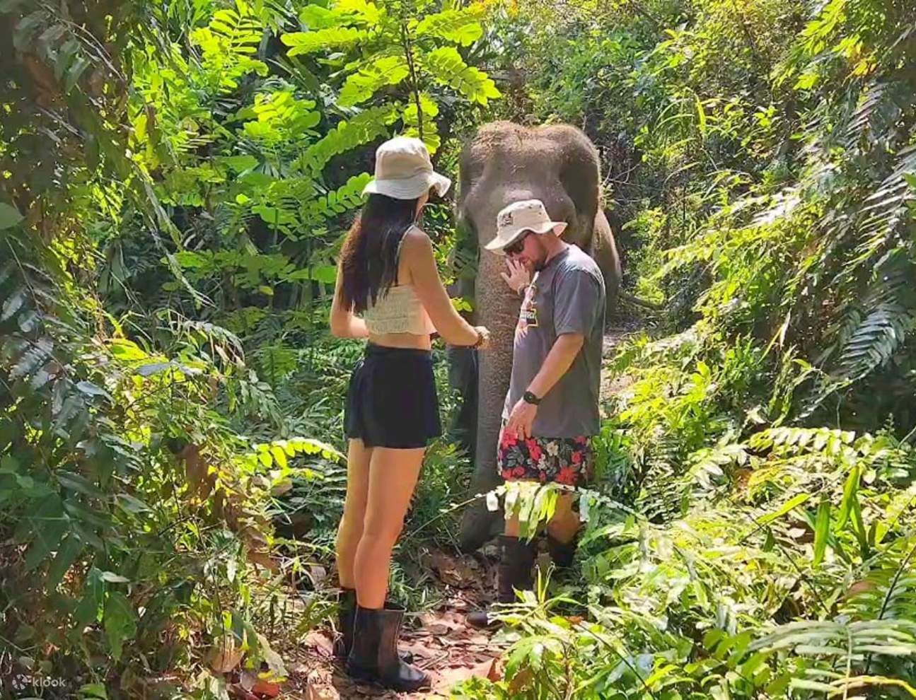 Elephant World Samui Conservation Project Half-Day Visit