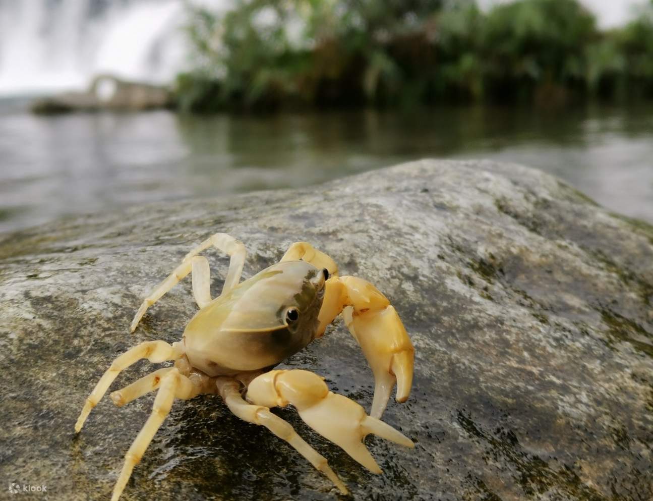 Dã ngoại thác nước bí mật Lão Khê