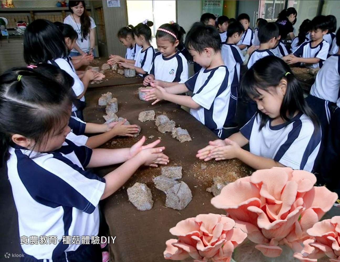 Mushroom Tribe Leisure Farm