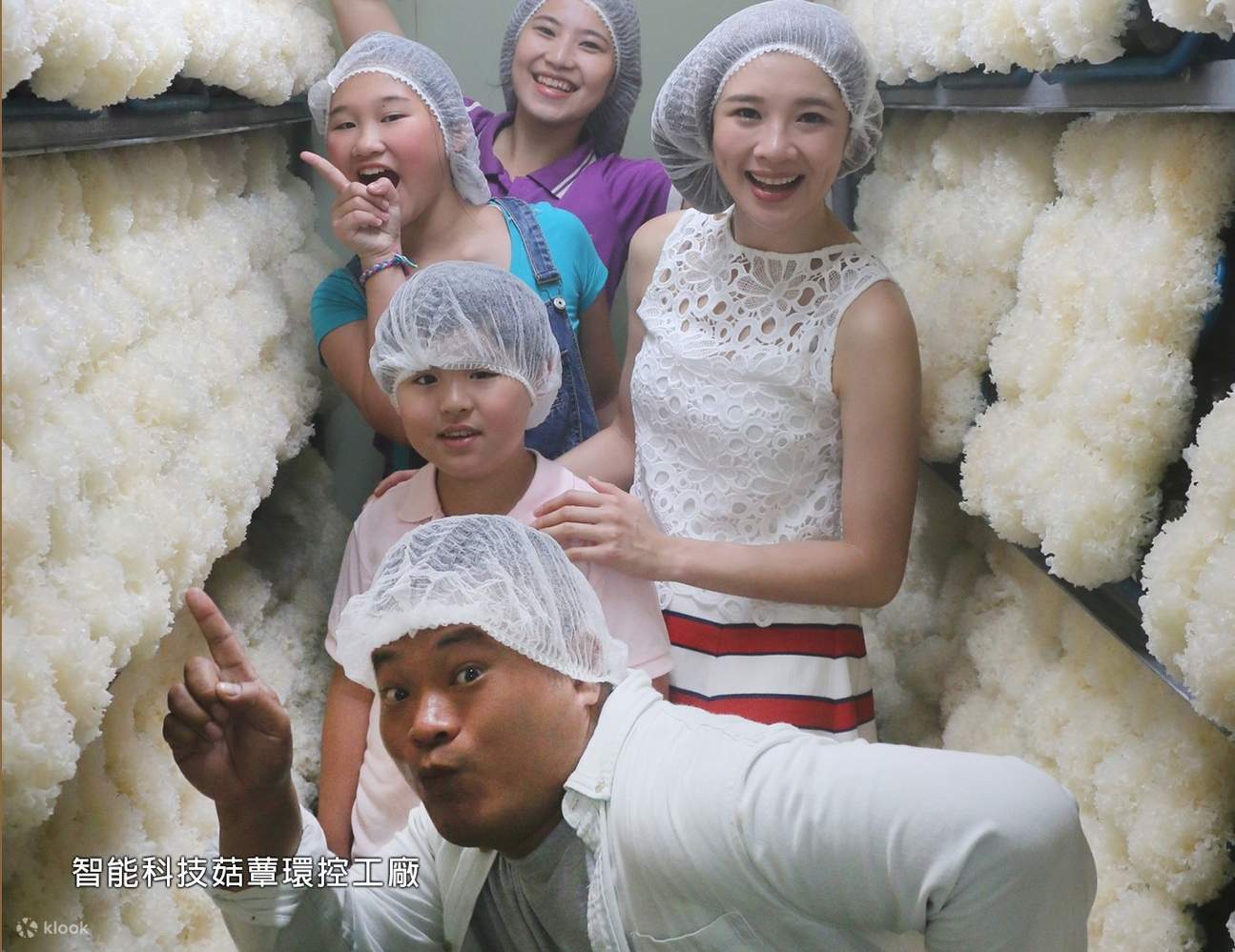 Mushroom Tribe Leisure Farm