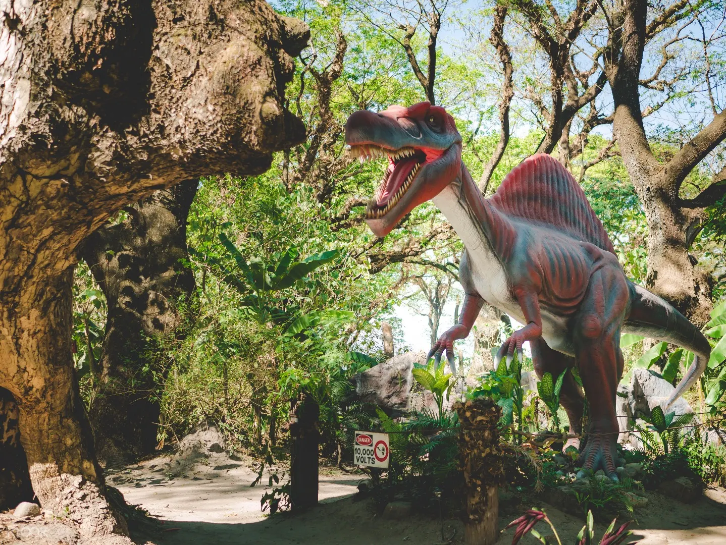 Dinosaurs Island Ticket In Clark Klook Uk