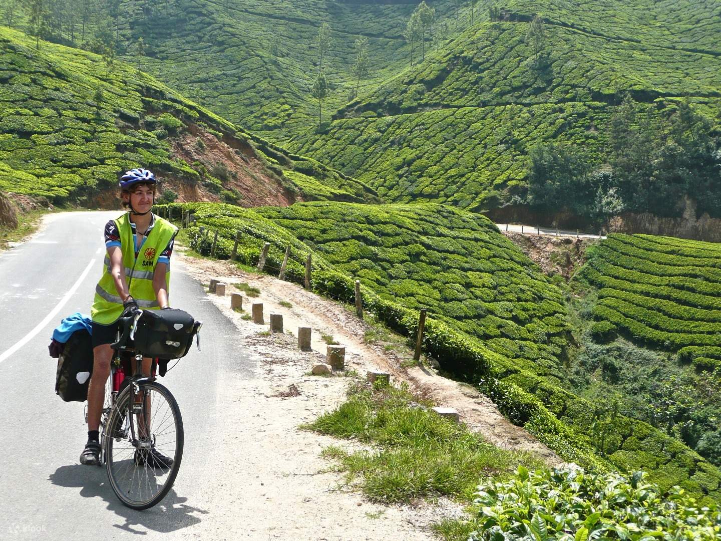 munnar, kerala