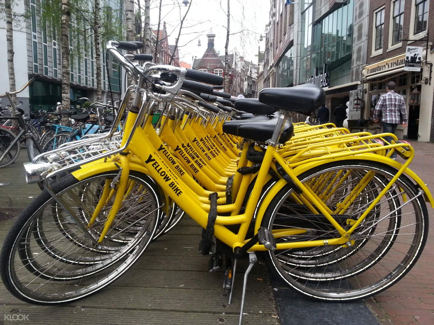 yellow bike hire