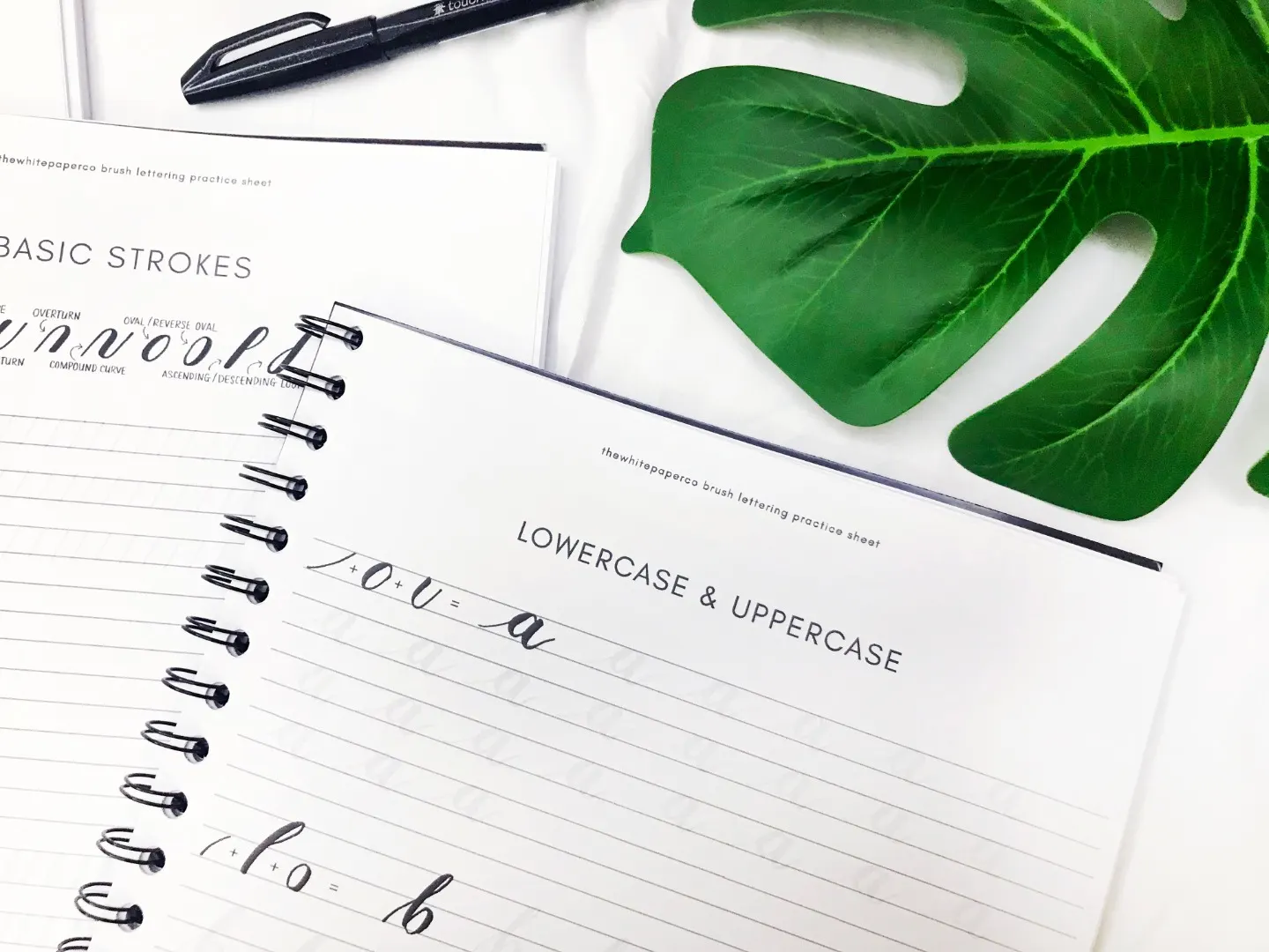 brush lettering online