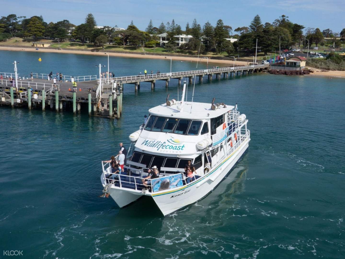 Phillip Island Seal Watching Cruise Klook Australia
