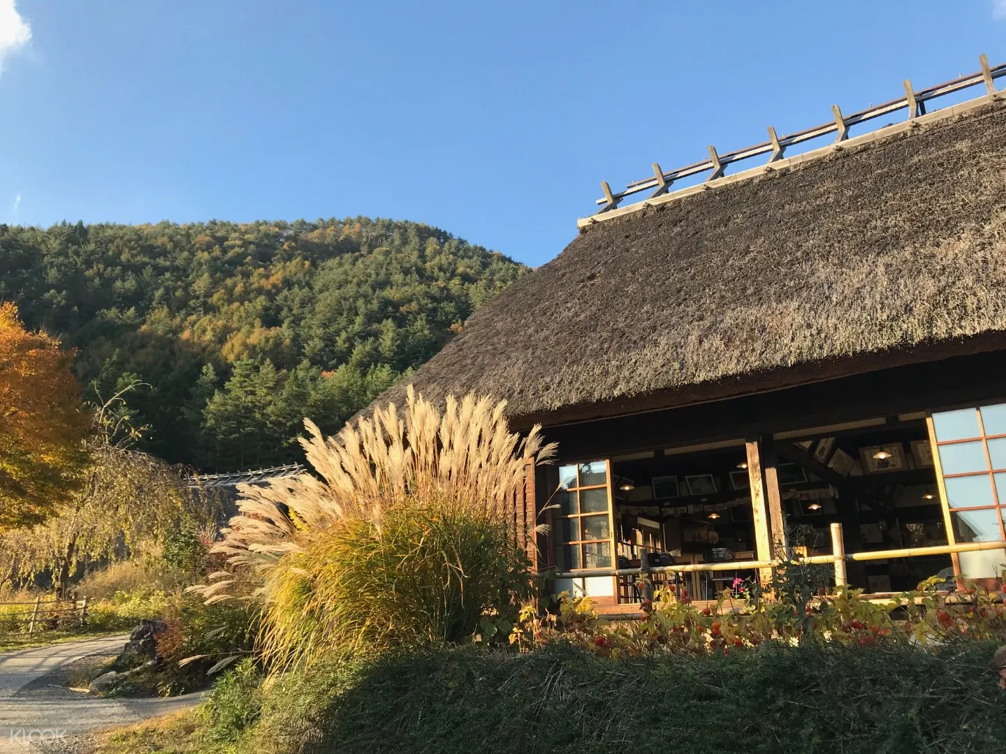 富士山赏枫之旅 河口湖富士山缆车 枫叶迴廊 西湖疗癒之乡根场一日游 klook客路中国