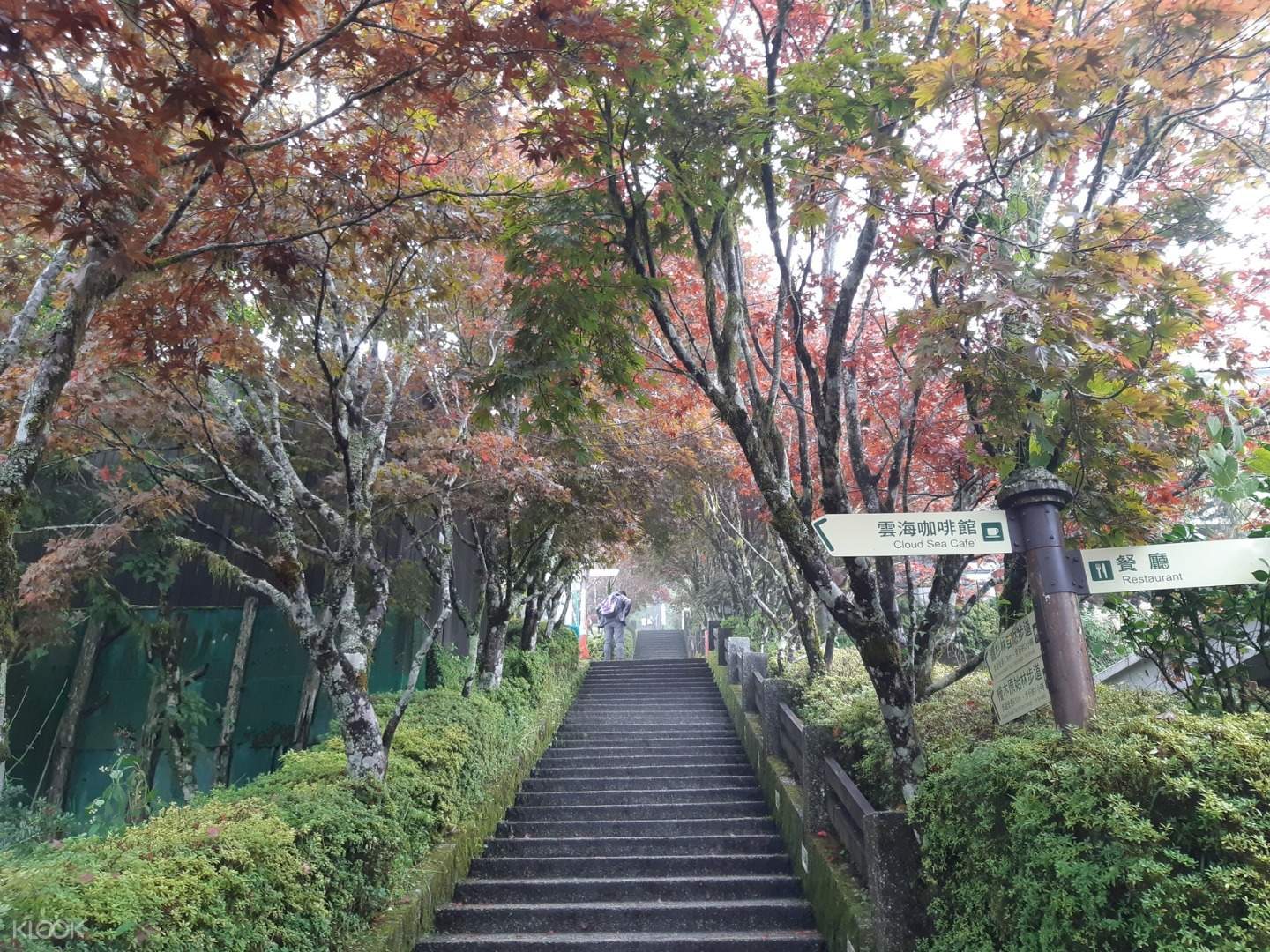 宜蘭必去 太平山國家森林遊樂區一日遊 Klook客路香港