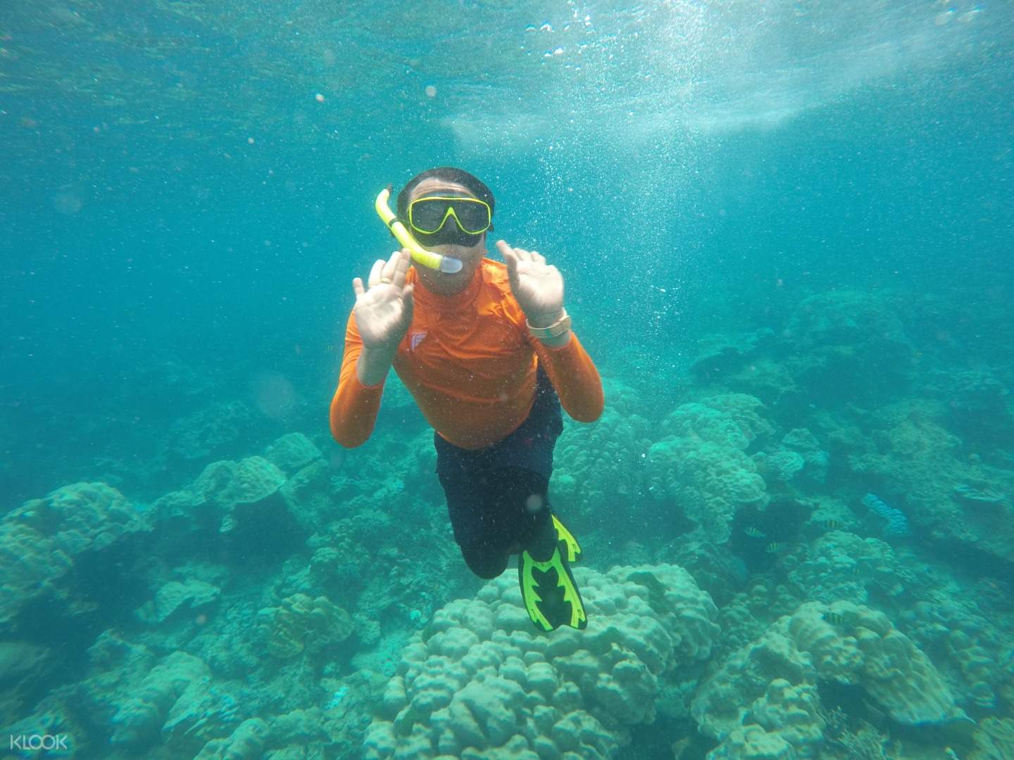 岛屿秘境浮潜之旅 洛克岛双体船浮潜一日游 Klook客路中国