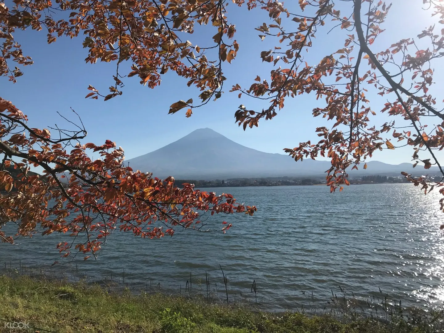 富士山赏枫之旅 河口湖富士山缆车 枫叶迴廊 西湖疗癒之乡根场一日游 klook客路中国