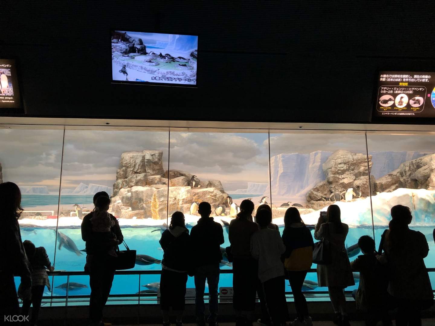 名古屋港水族館 入館チケット Klook 日本