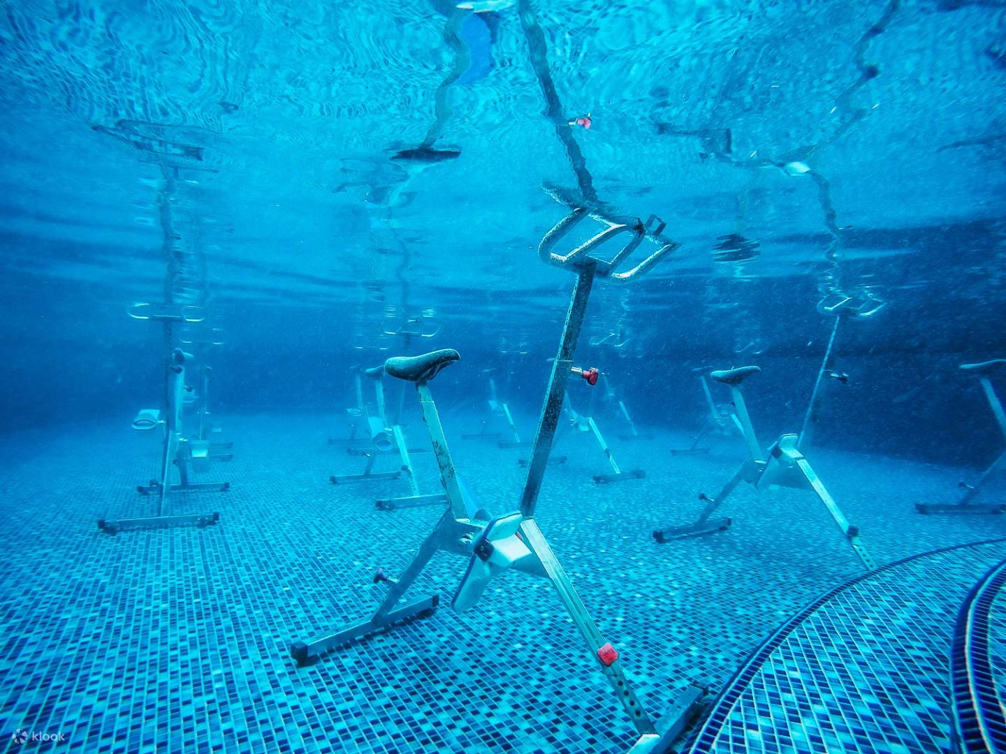 Aqua Spin Water Cycling in Singapore Klook Singapore