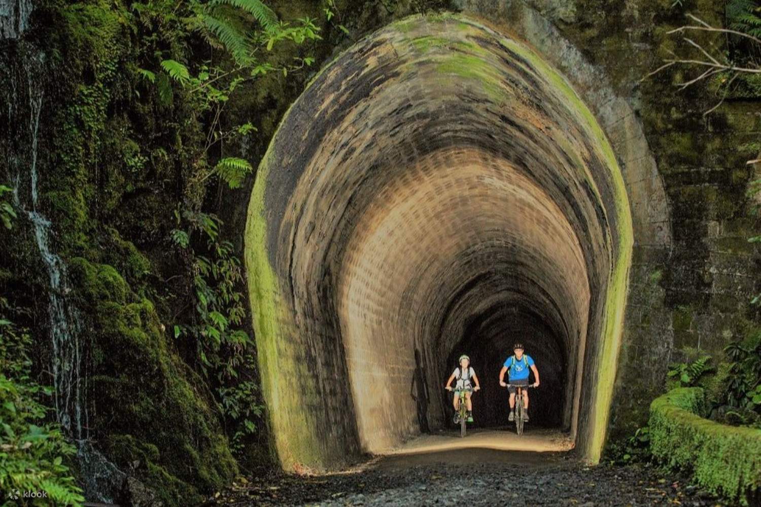 Remutaka clearance cycle trail
