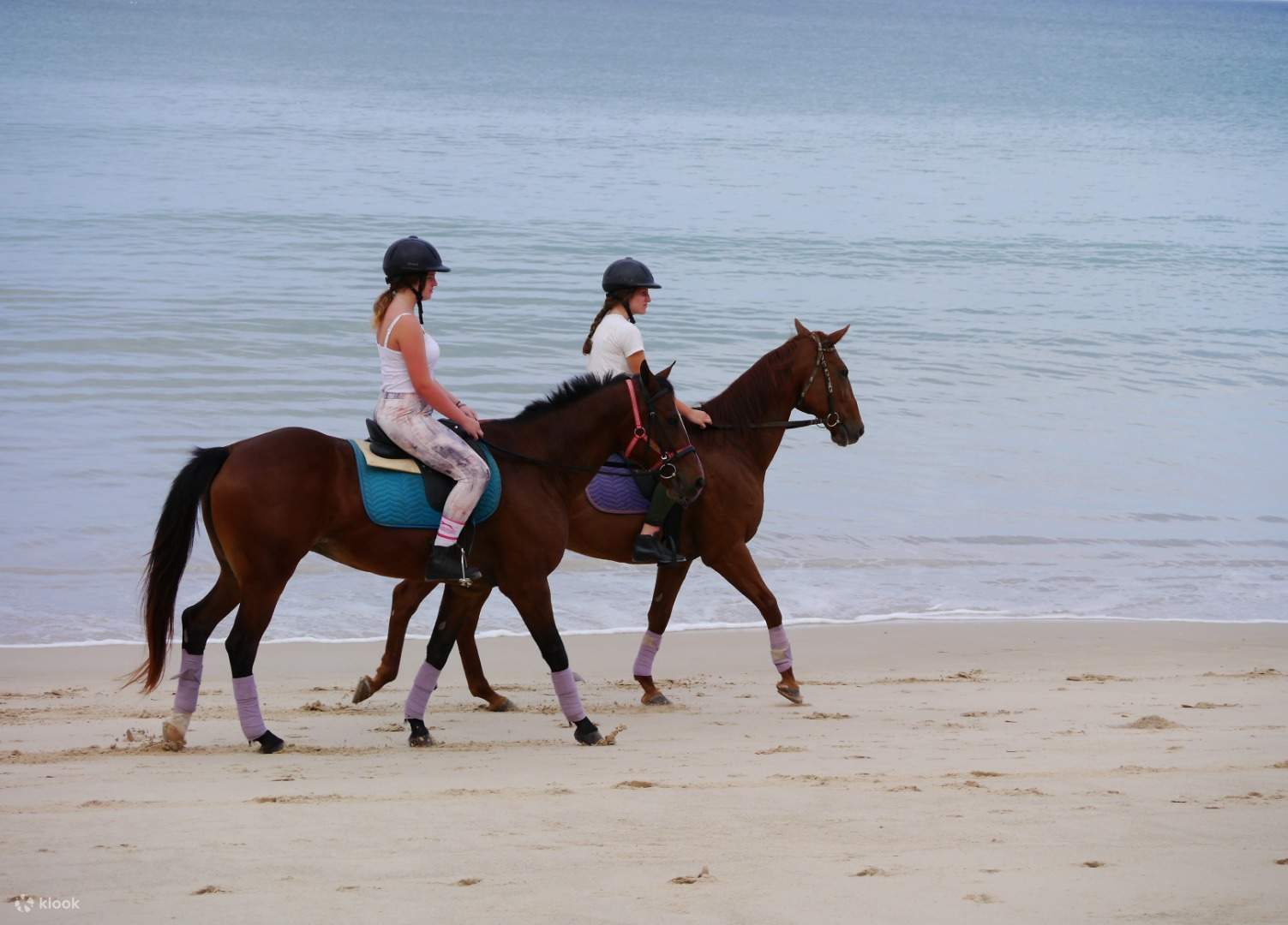 แพ็กเกจขี่ม้าริมชายหาดที่ภูเก็ต ประเทศไทย - Klook ประเทศไทย