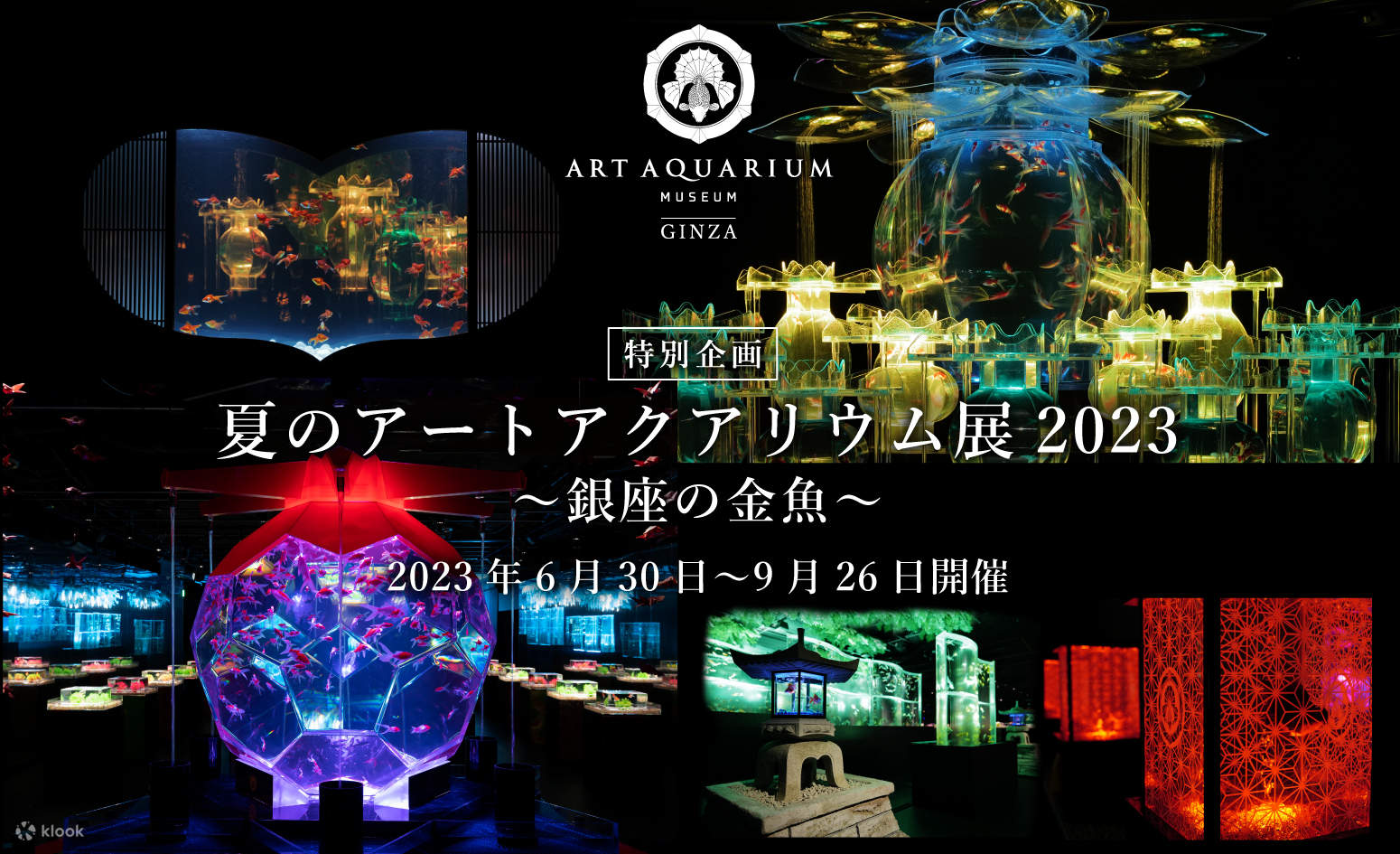 Immersive Museum TOKYO 2023 招待券