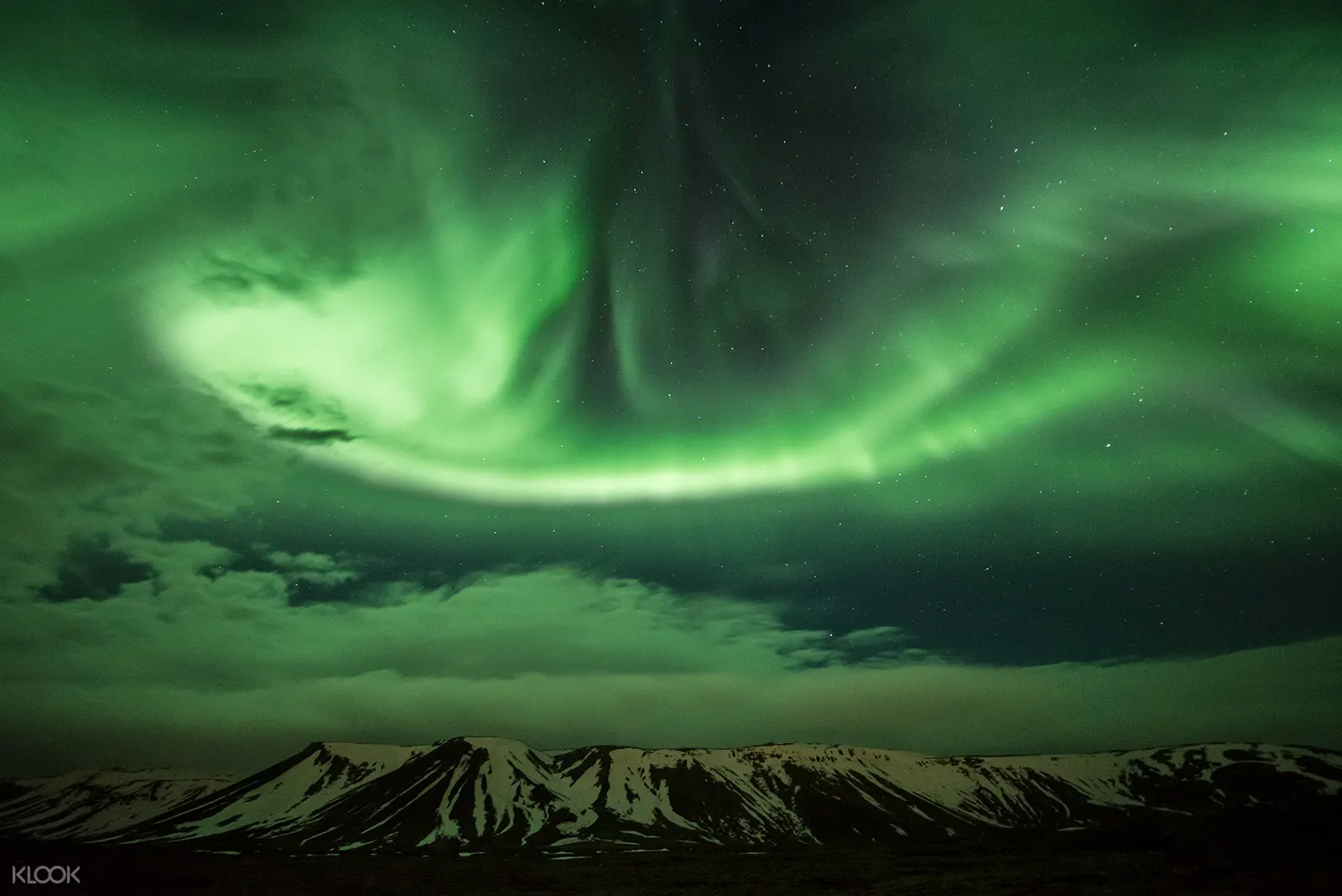 Iceland Northern Lights Half Day Bus Tour From Reykjavik