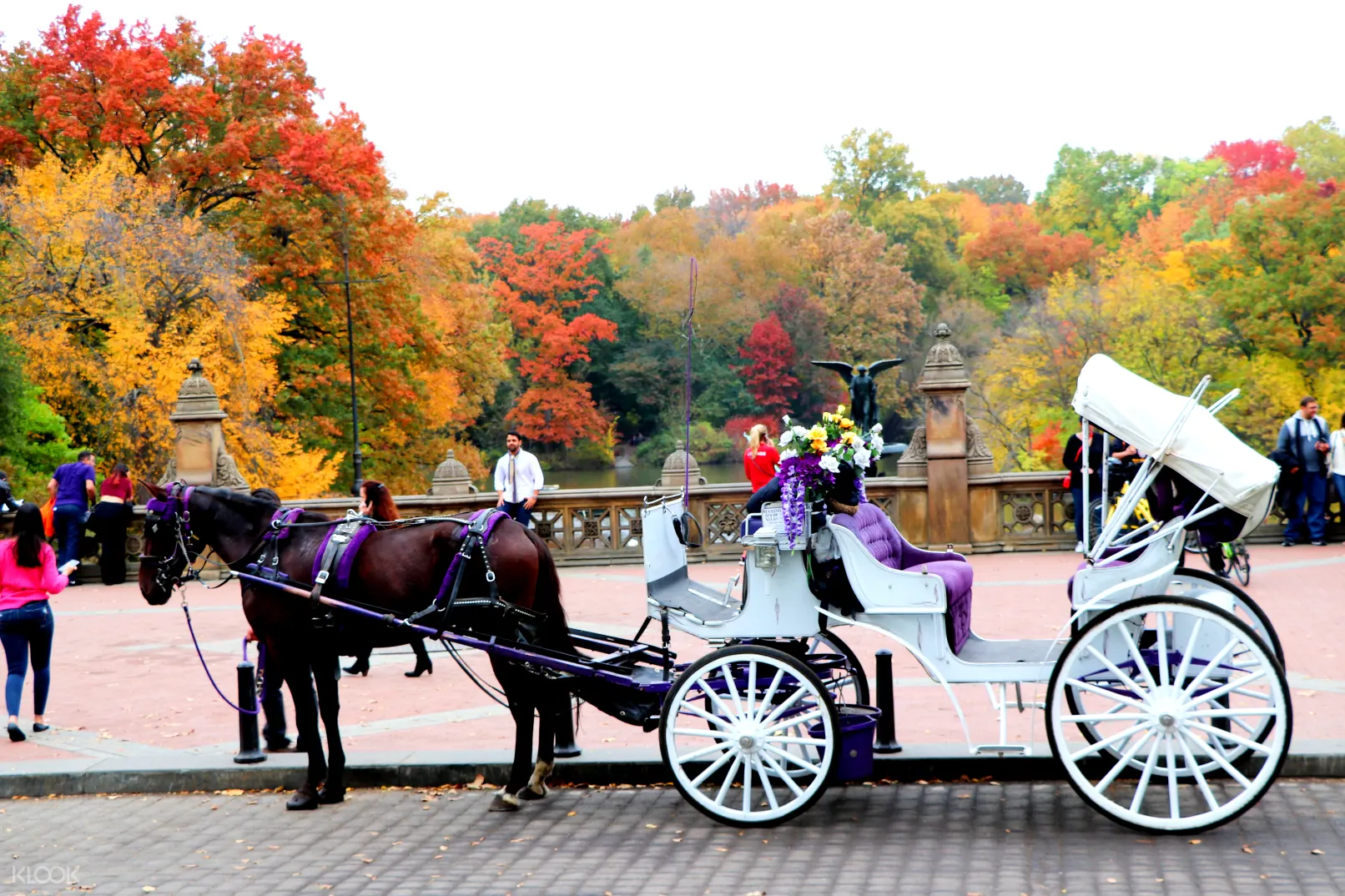 Central Park Horse Carriage Tour in New 