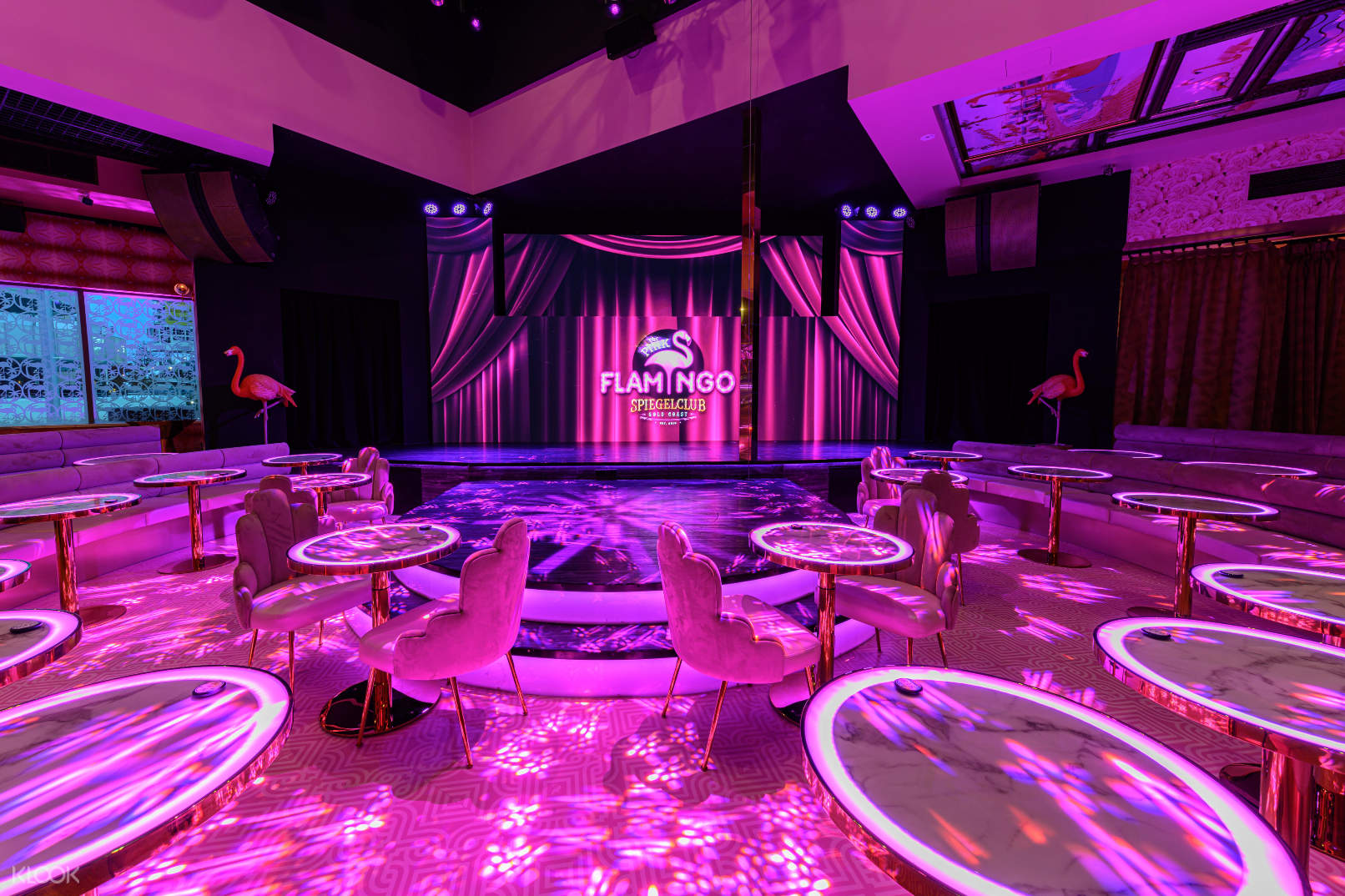 The Pink Flamingo Spiegelclub Suave Show Ticket In Gold Coast