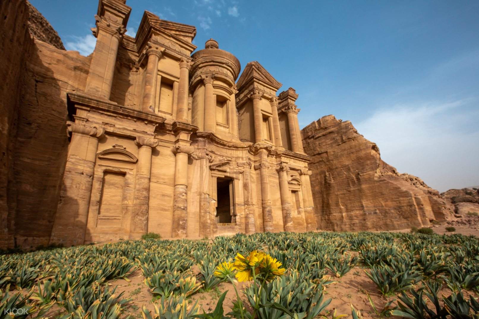 day tours to petra from aqaba