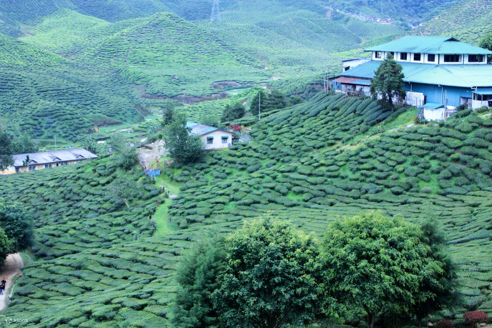 Nature Tour