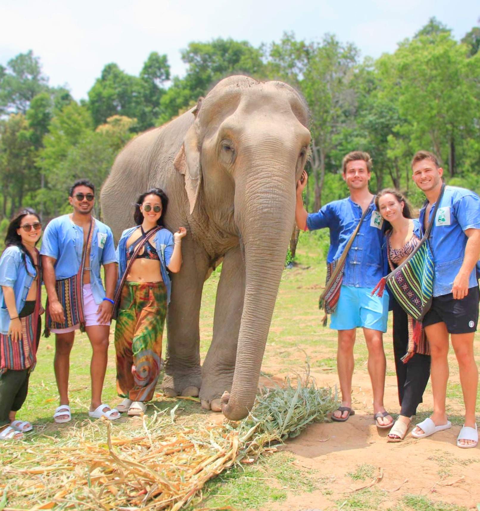Покататься на слонах в Тайланде. Паттайя где покататься на слонах. Green elephant sanctuary