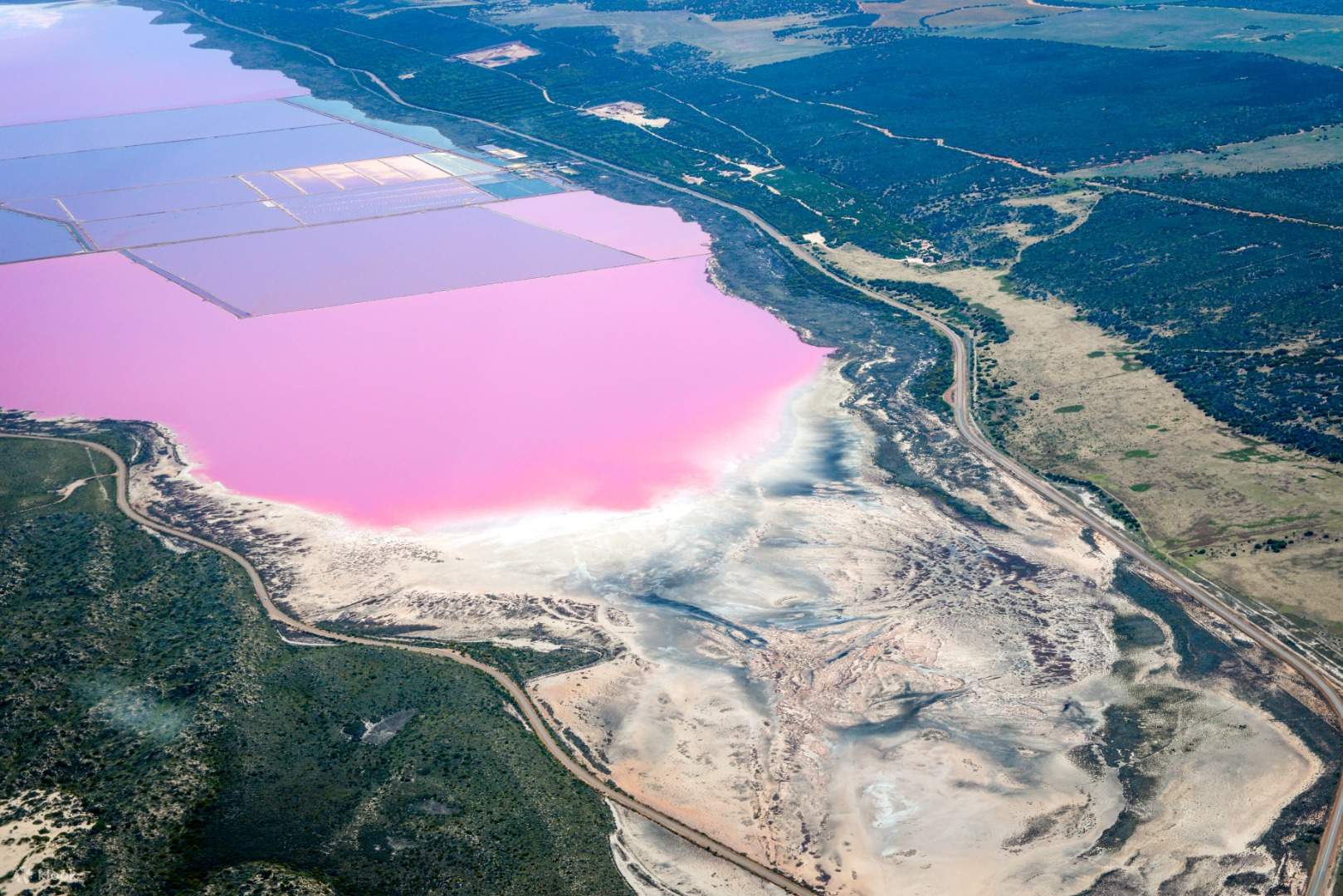 Розовая лагуна 1984. Лагуна Хатт Австралия. Луис Эйрс розовая Лагуна 1984. Pink Lagoon animations. Pink Lagoon furry.