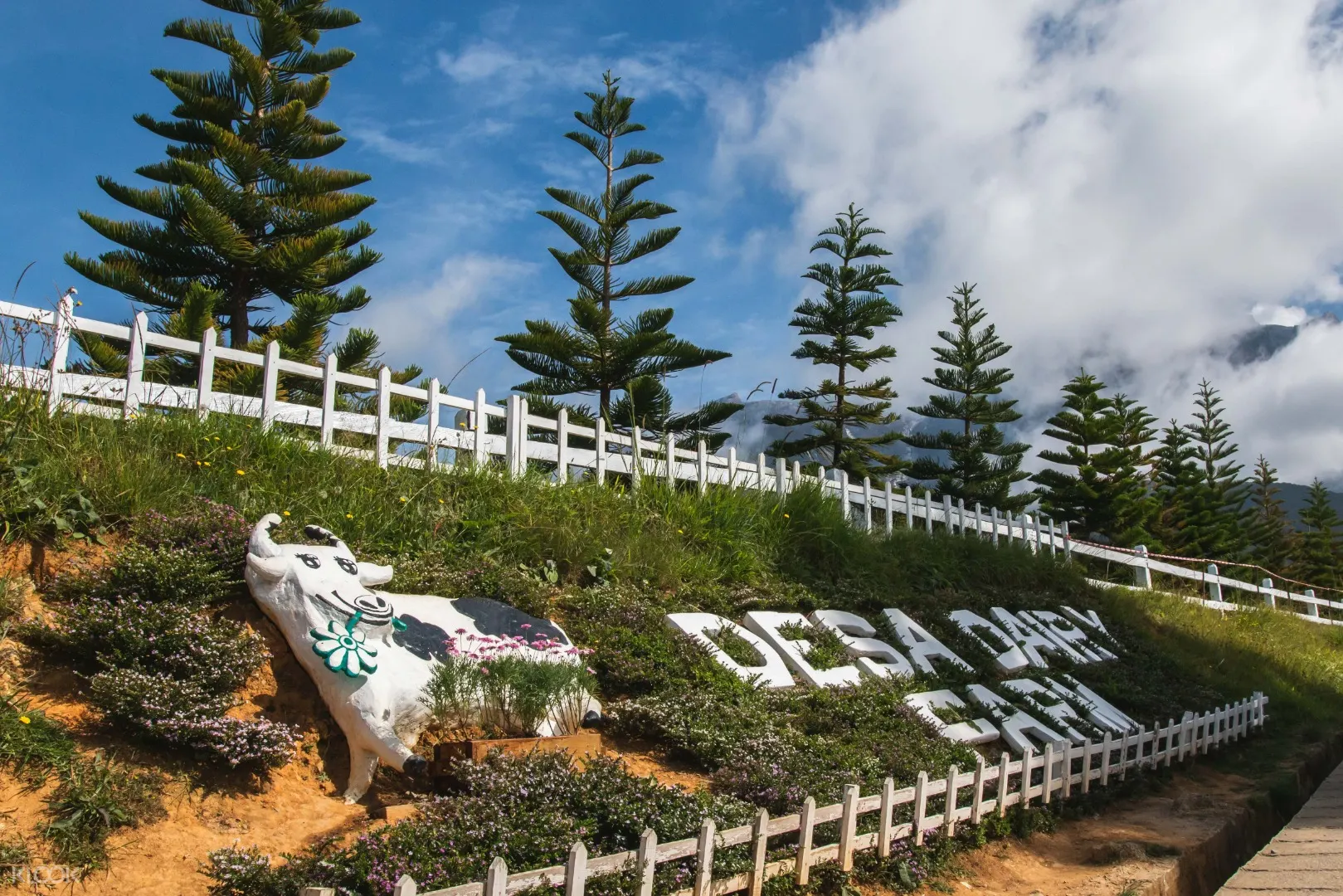 Mt Kinabalu Farm Day Tour Sabah Malaysia