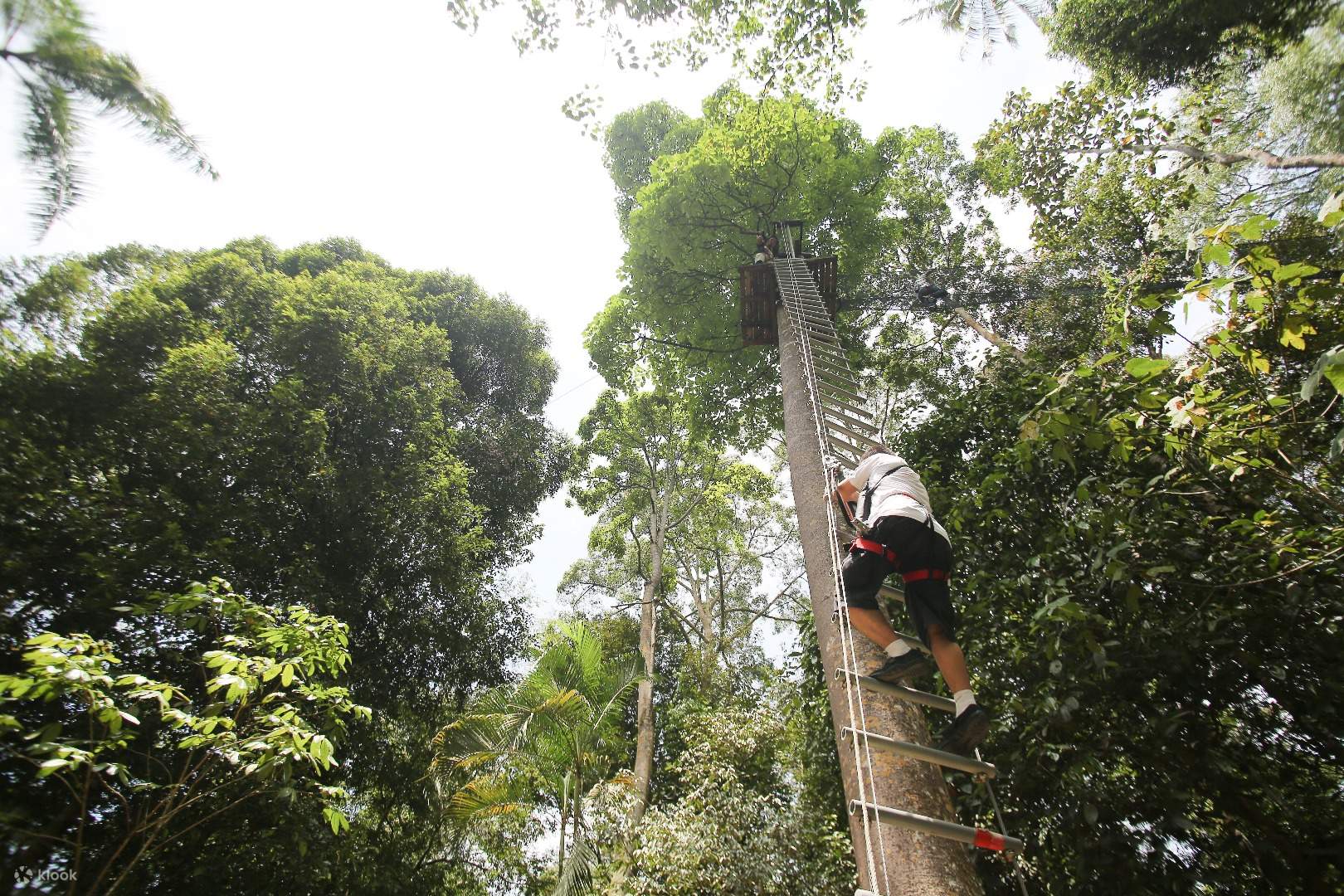 Skytrex Adventure Langkawi, Malaysia - Klook Malaysia