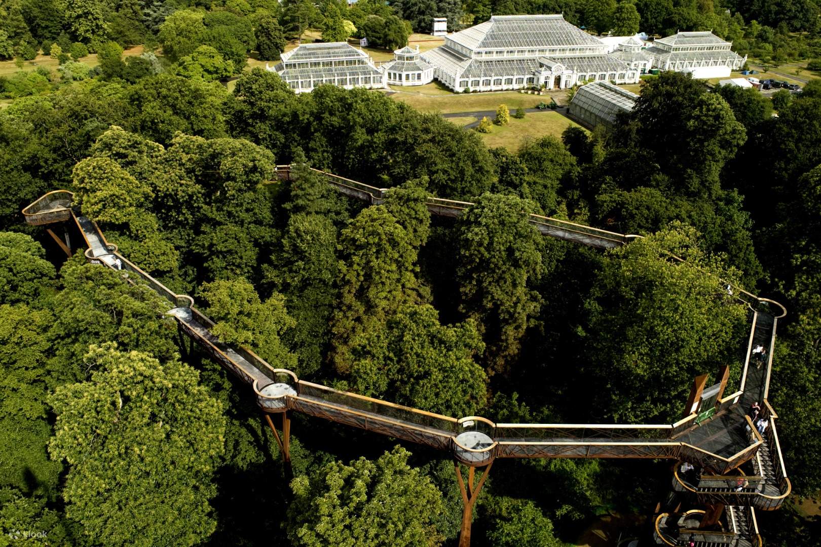 The treetop walkway in kew gardens. Сады кью treetop walkway. Treetop walkway at kew gardens. Кью гарденс мост. Королевские ботанические сады лондона аллея treetop.