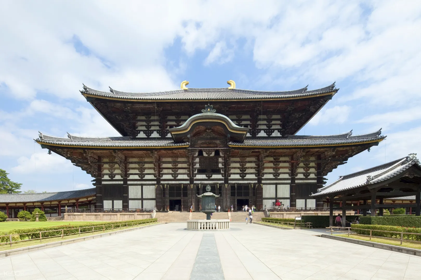 日本奈良东大寺 奈良公园 兴福寺 清水寺 高台寺 八坂神社 祇园一日遊 京都出发 Klook客路中国