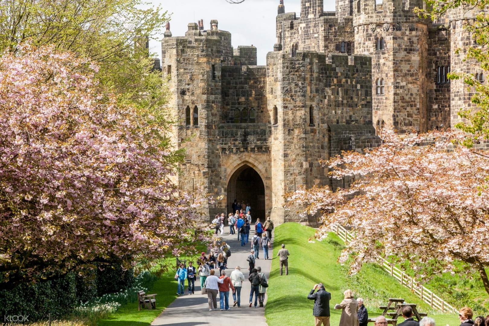 Alnwick Castle The Scottish Borders Day Tour From