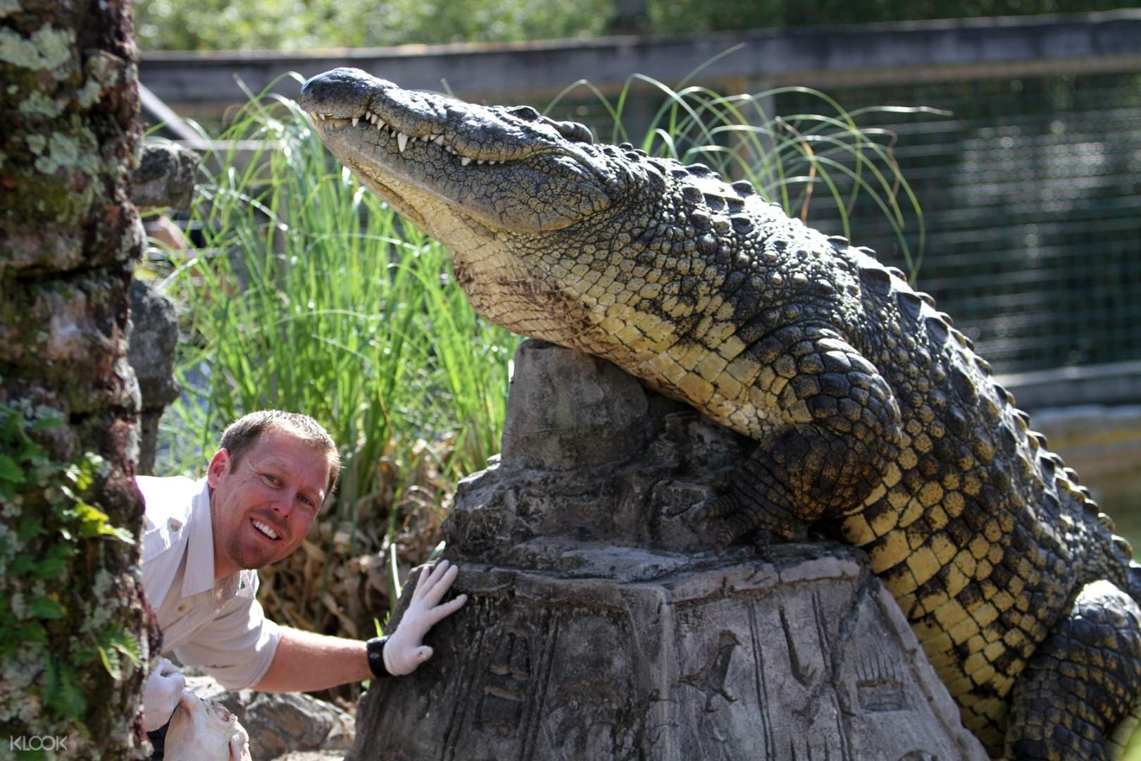 Gatorlan Fall 2022