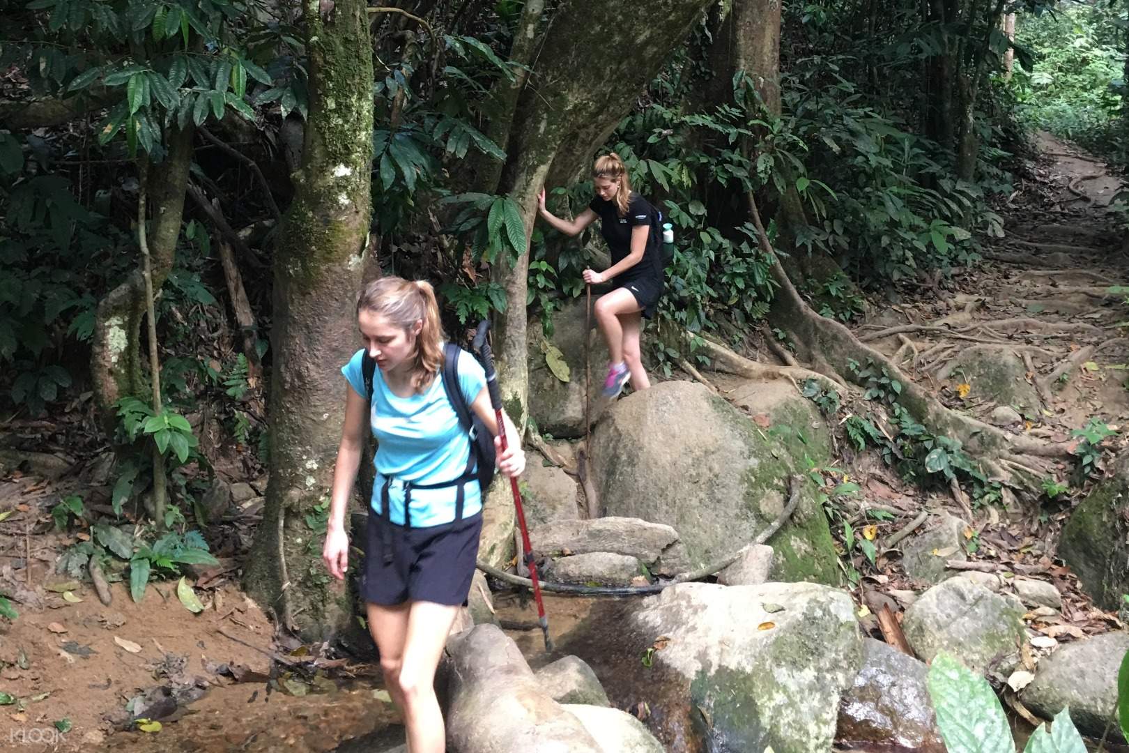 2d1n Highland Trekking Experience In Kuala Lumpur Malaysia Klook Singapore