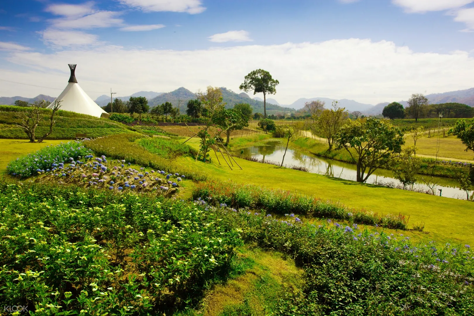 Pb Valley Vineyard And Wine Tasting Tour Di Khao Yai Thailand