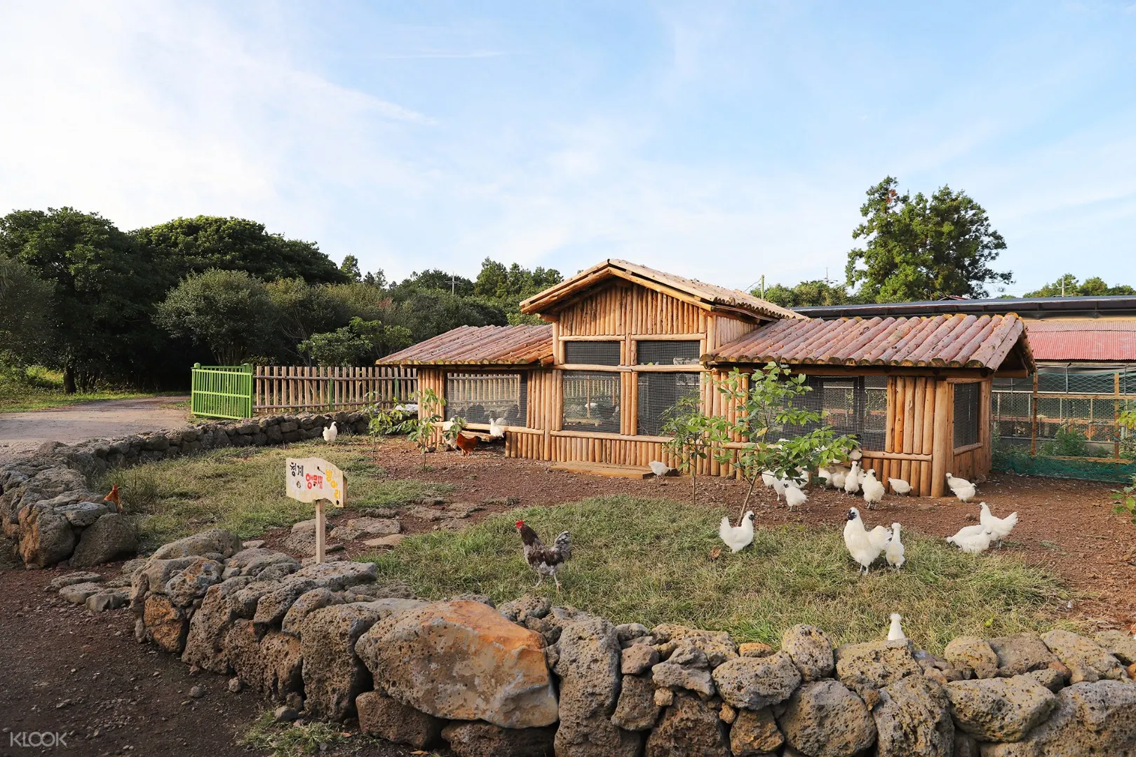 Chungchobat Jeju Farm Ticket Klook Singapore