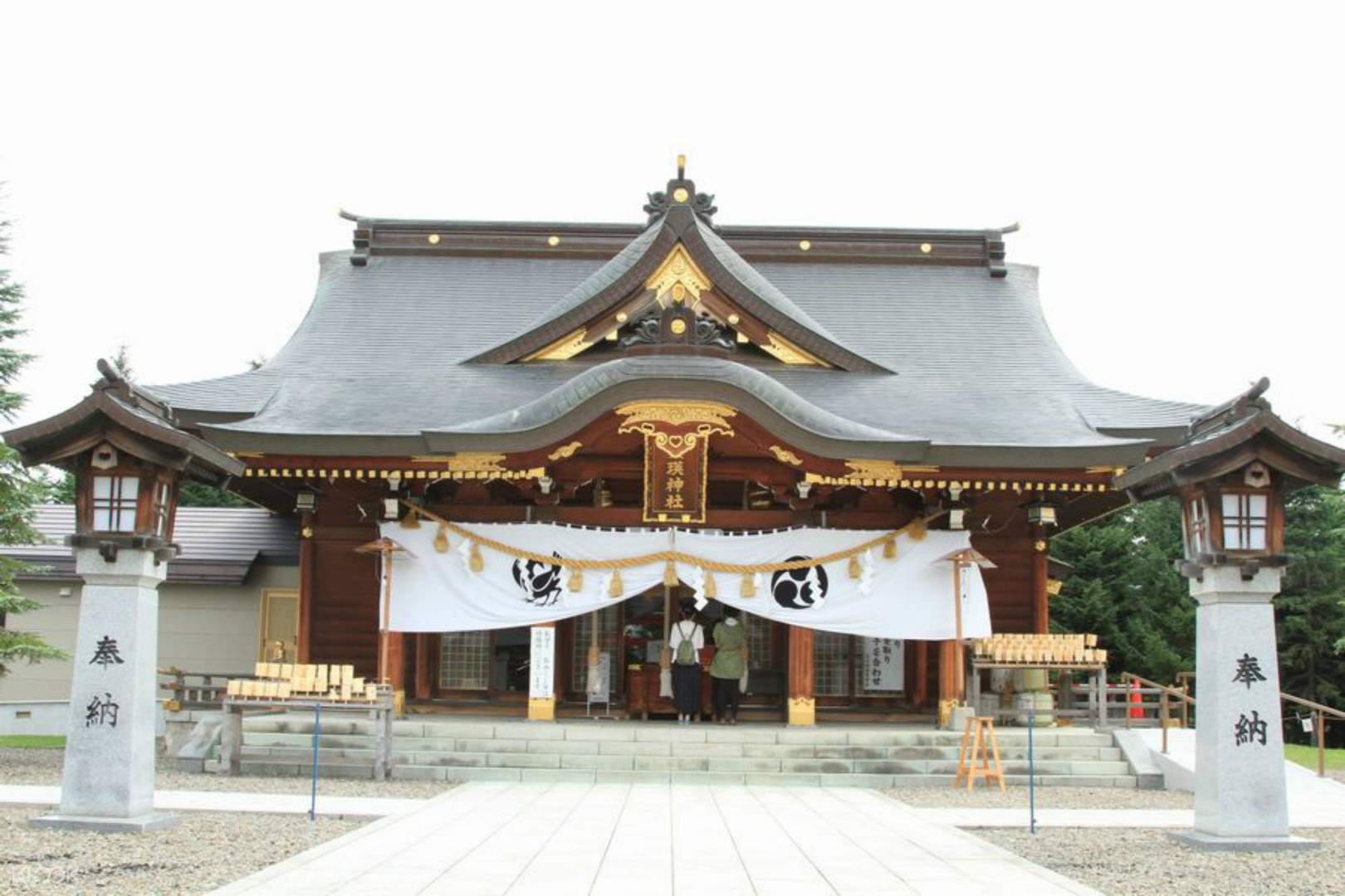 北西之丘展望公园 富田农场 青池 白须瀑布 美瑛神社一日游 旭川出发 Klook客路中国 北西之丘展望公园 富田农场 青池 白须瀑布 美瑛神社一日游 旭川出发 Klook客路中国