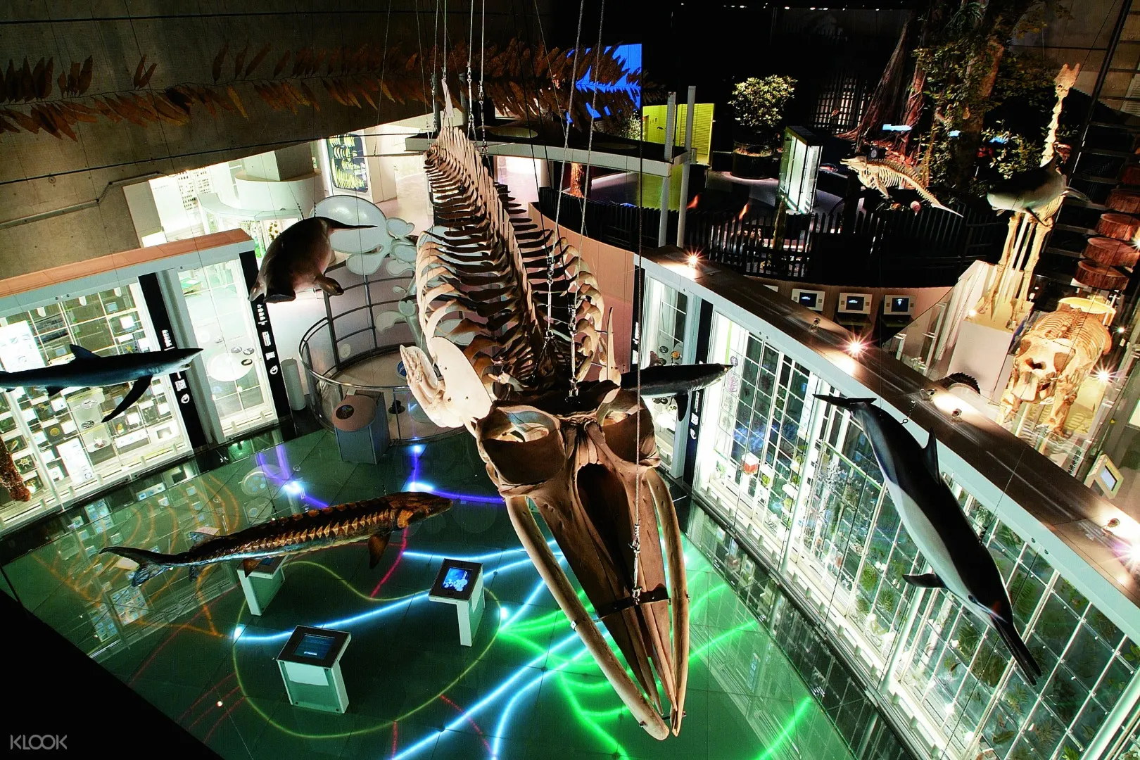 National Museum Of Nature And Science Ticket In Tokyo Japan Klook客路中国 National Museum Of Nature And Science Ticket In Tokyo Japan Klook客路中国