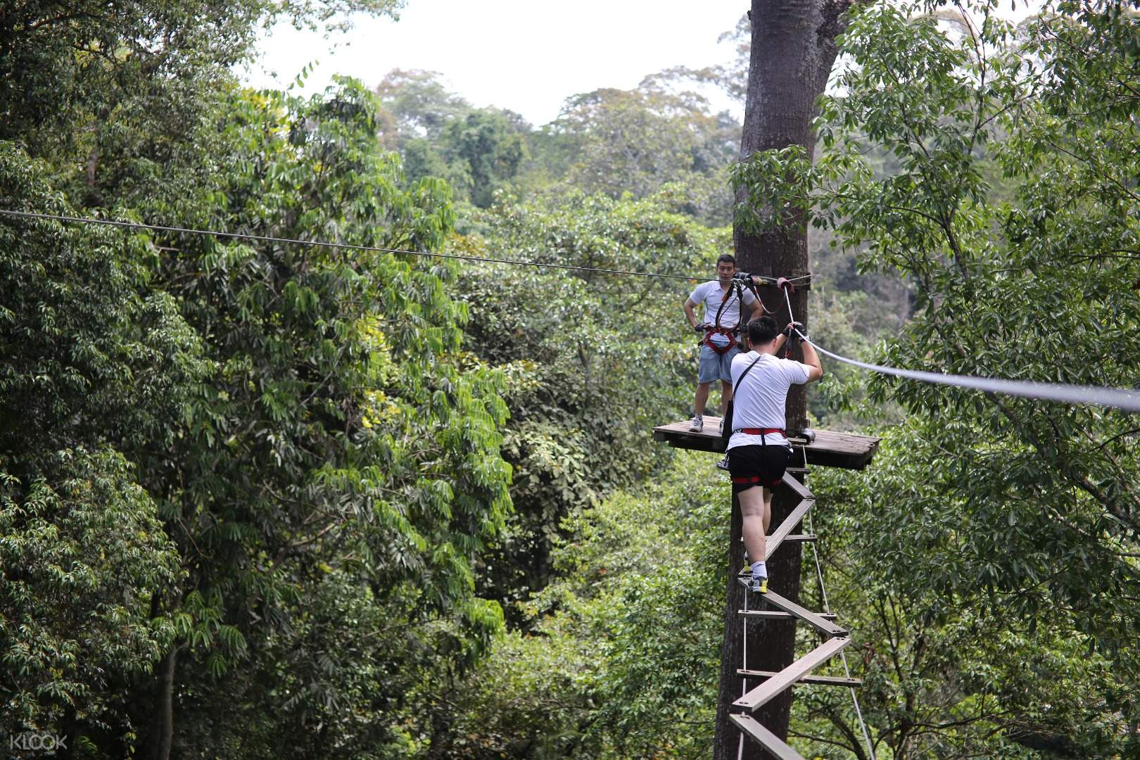 Skytrex Adventure Melaka Malaysia