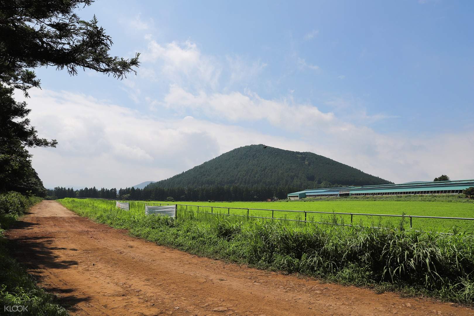 Chungchobat Jeju Farm Ticket Klook Singapore