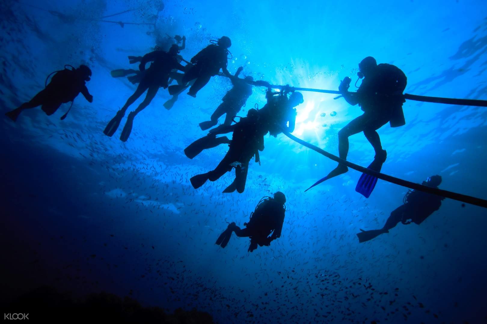 Wisata Diving Di Tunku Abdul Rahman National Park Island Di Sabah Malaysia