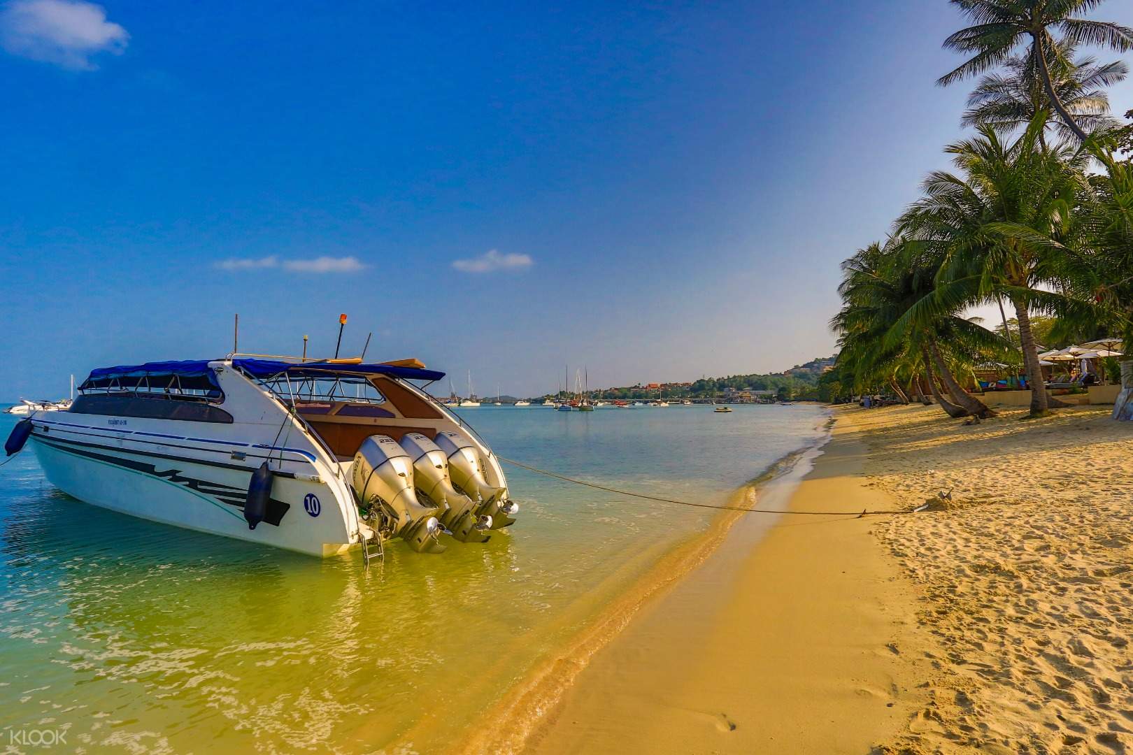 Koh Tao And Koh Nang Yuan Day Tour By Speedboat From Koh Samui Klook クルック Koh Tao And Koh Nang Yuan Day Tour By Speedboat From Koh Samui Klook クルック