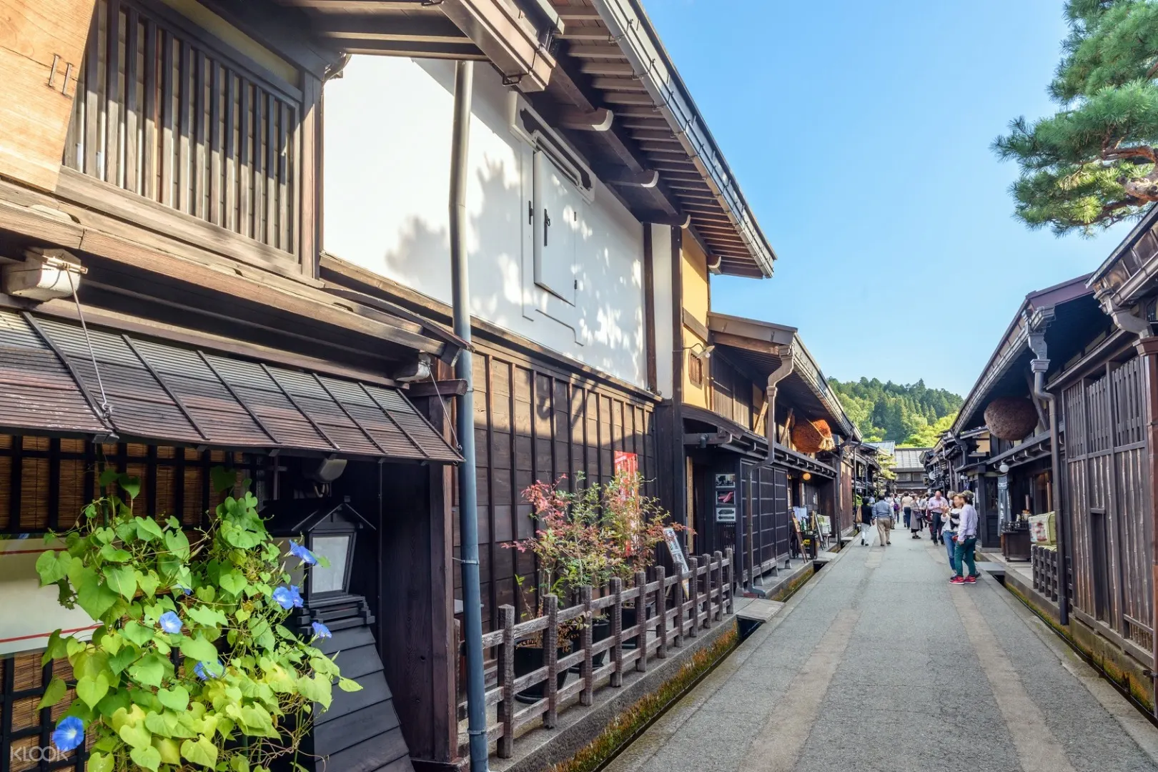 世界文化遗产 日本白川乡合掌村 高山一日游 名古屋出发 Klook客路中国 世界文化遗产 日本白川乡合掌村 高山一日游 名古屋出发 Klook客路中国