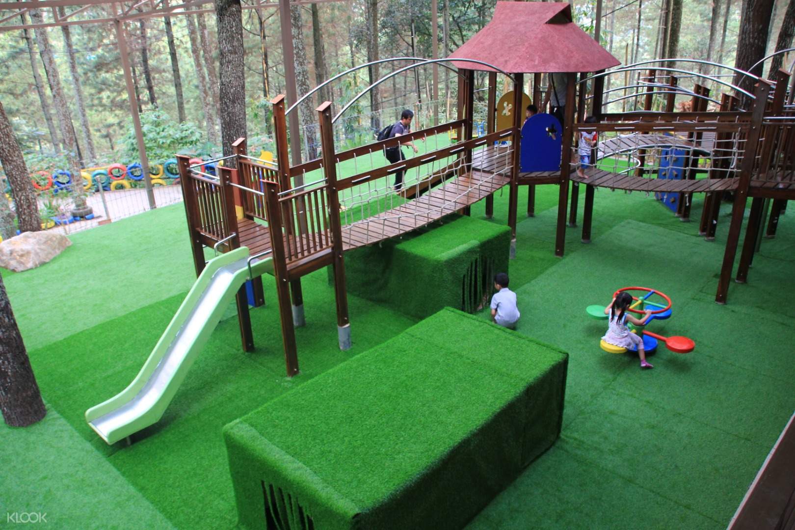 Pine House Dago Dream Park