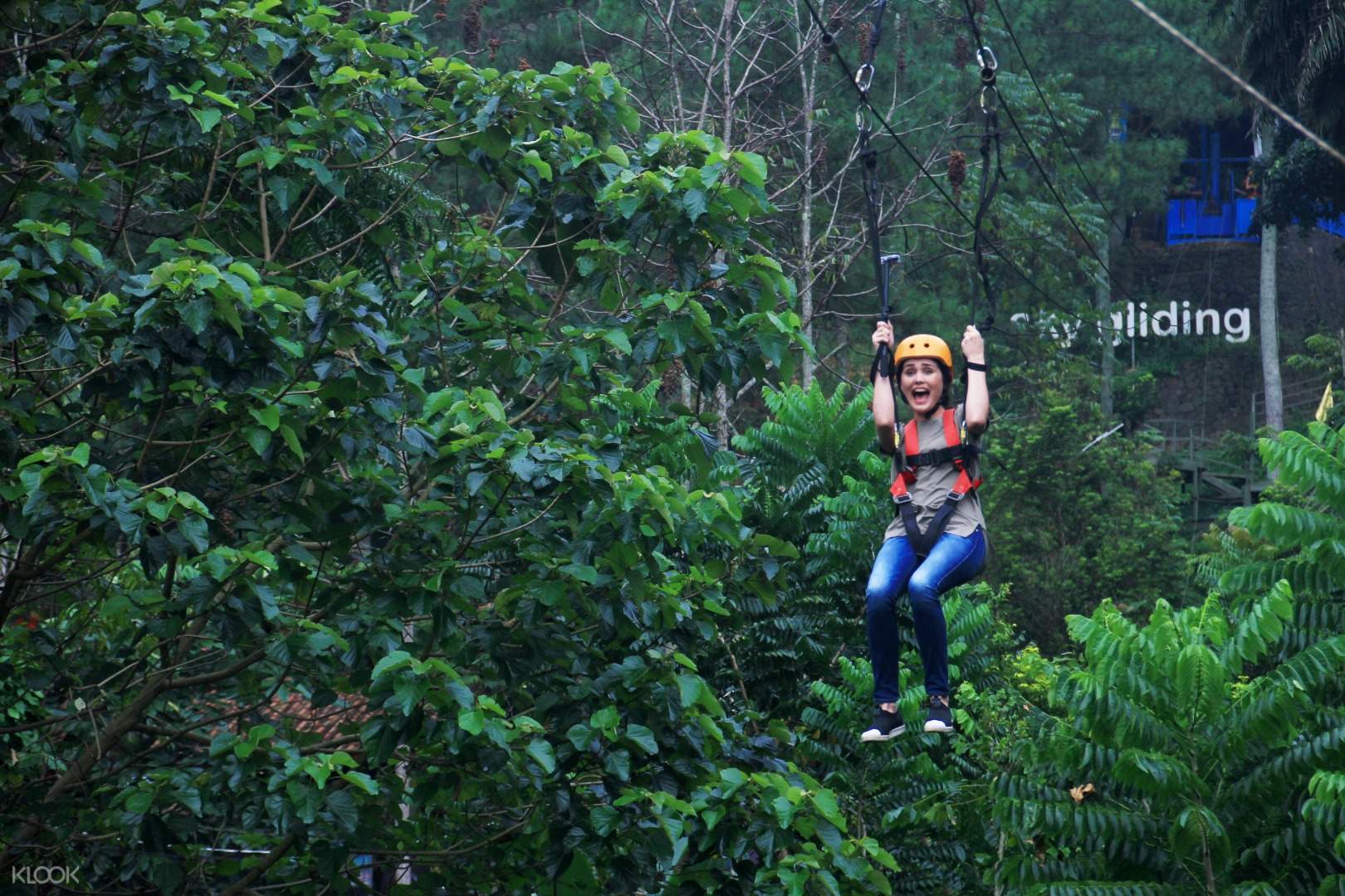 Sky Gliding Dago Dream Park